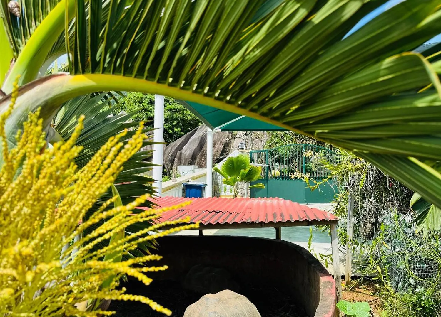 Apartment D Bes Residence Self Catering Beau Vallon